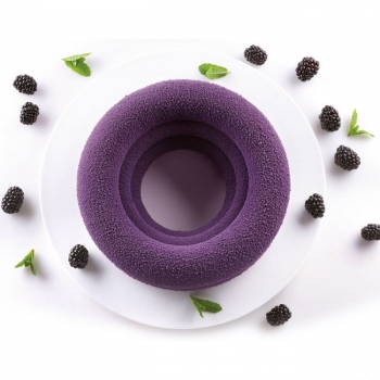 3D Silicon Mould - Arena